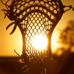 Lacrosse stick in the sun.