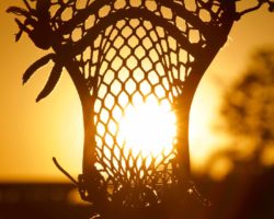 Lacrosse stick in the sun.