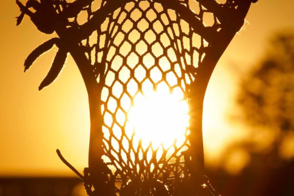 Lacrosse stick in the sun.